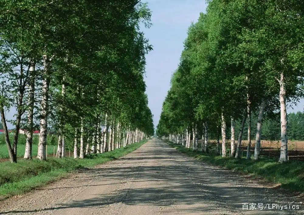 运动相对性原理_运动的相对性_运动相对性的诗句