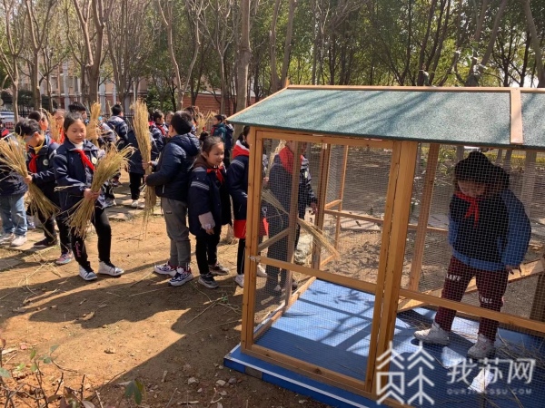 终生运动者_终生运动者用英语怎么说_终生运动者的意思